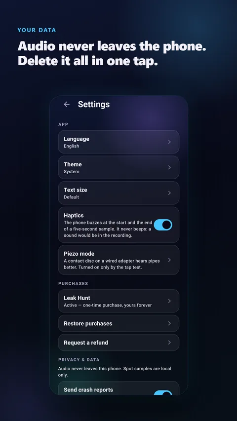 Settings: audio never leaves the phone, delete it all in one tap